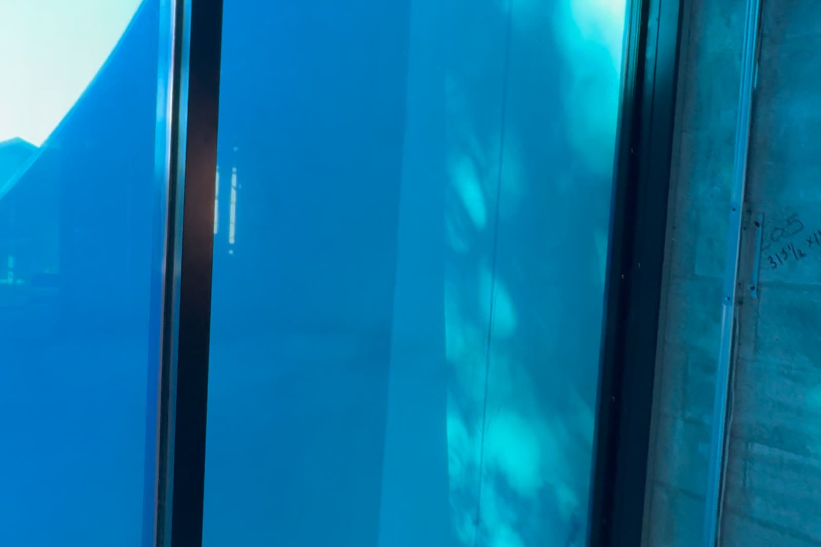 Looking up the glass from inside. The mullions carry the load; the glass carries the daylight.